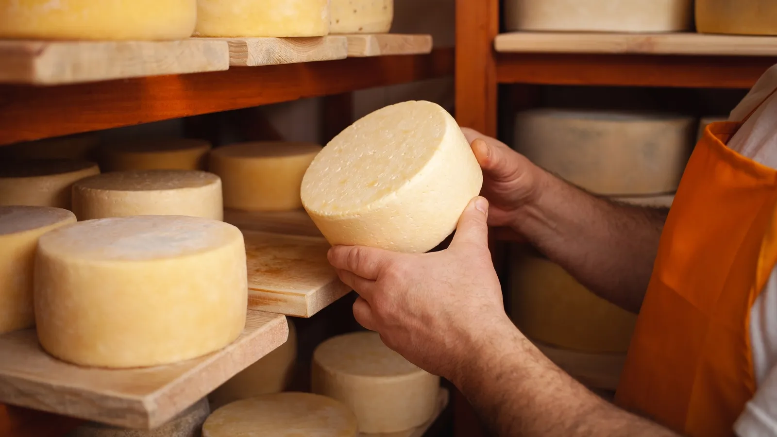 Un fromager sélectionne les fromages qu'il souhaite vendre en circuit court via un distributeur automatique réfrigéré.